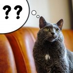 介護士の資格、介護職員初任者研修ってなに？【現役介護士が教えます！！】