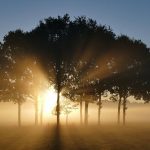 【実体験】自己破産を考えているあなたへ、経験者の私が教える自己破産までの流れとその後の生活